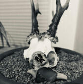 infernaldarkness91