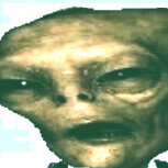 Presshirn